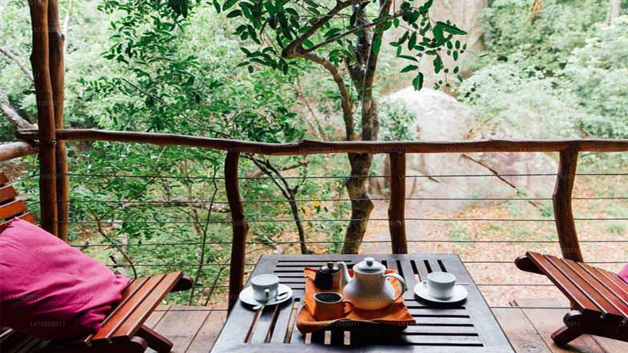 Экологические туры по Шри-Ланке (6 дней)