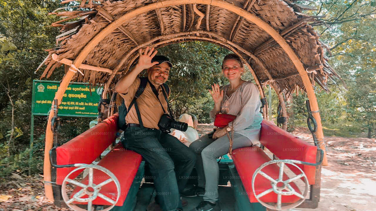 Великолепная Шри-Ланка (6 дней)