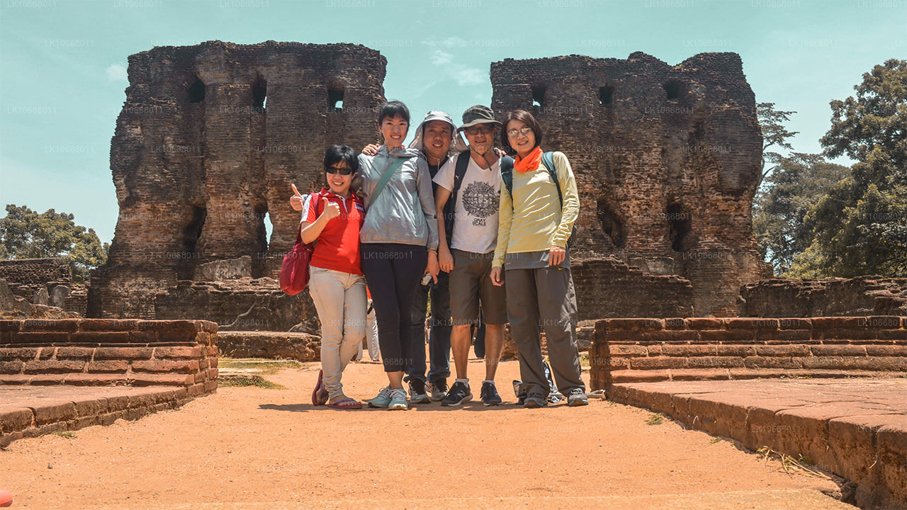 Великолепная Шри-Ланка (6 дней)