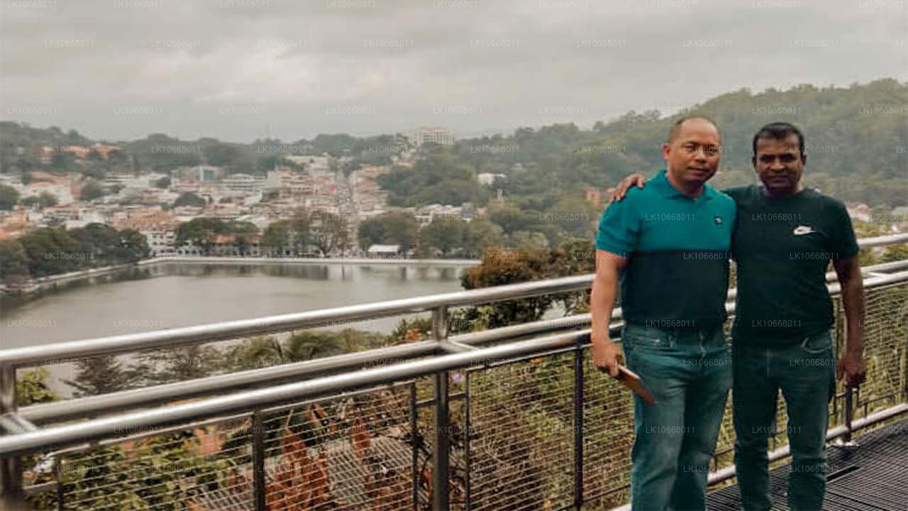 Великолепная Шри-Ланка (6 дней)