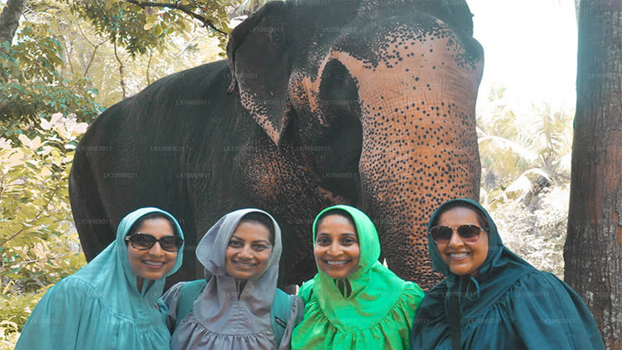 Природа, холмы и дикая природа (6 дней)