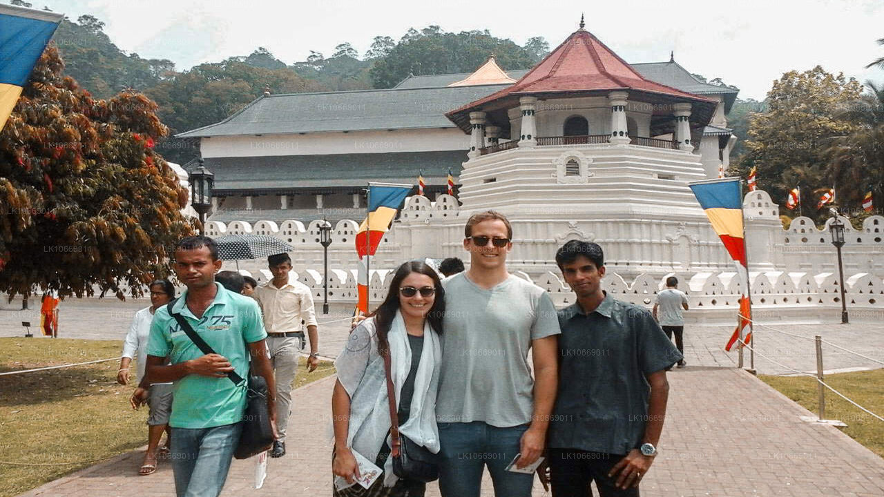 Природа, холмы и дикая природа (6 дней)