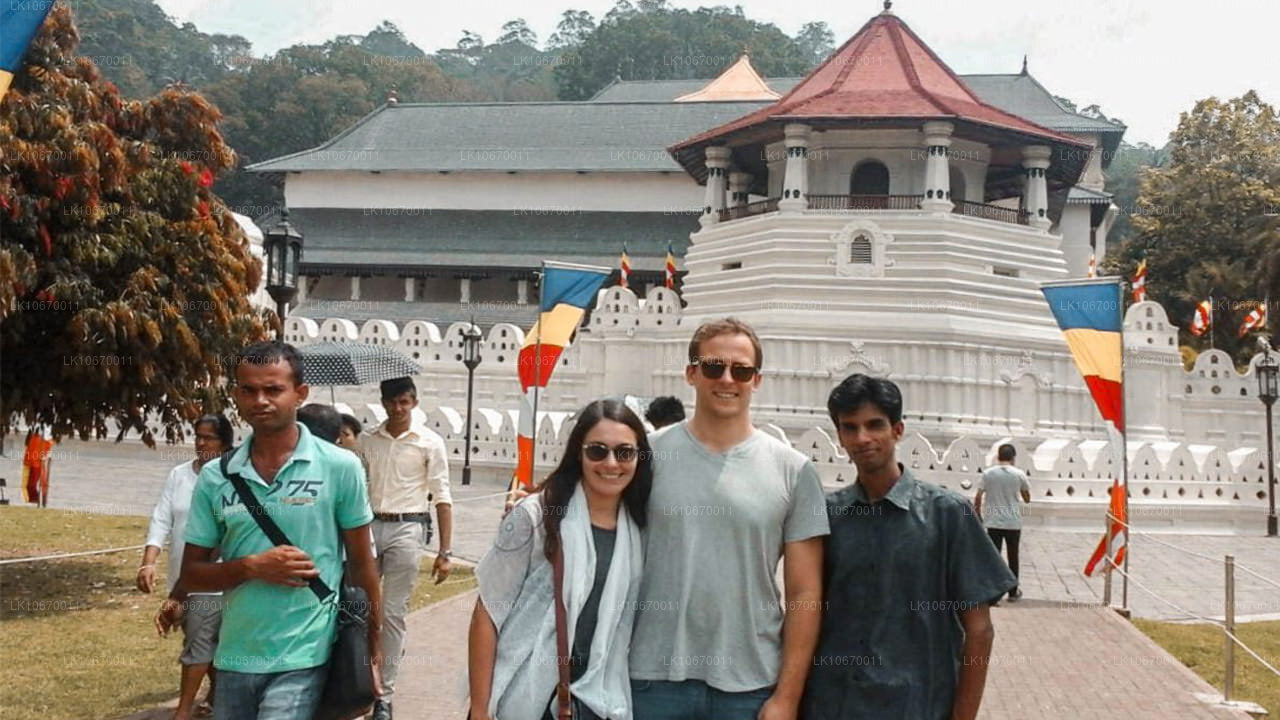 Культура и центральная страна (6 дней)