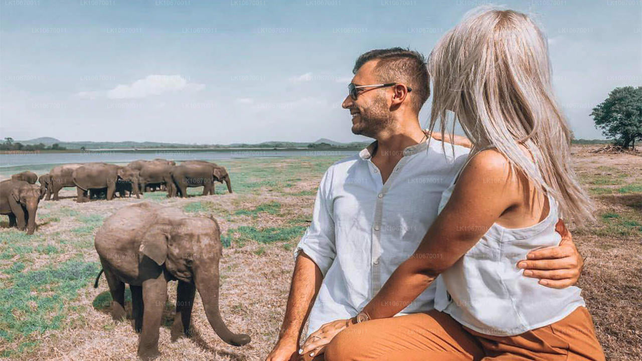 Культура и центральная страна (6 дней)