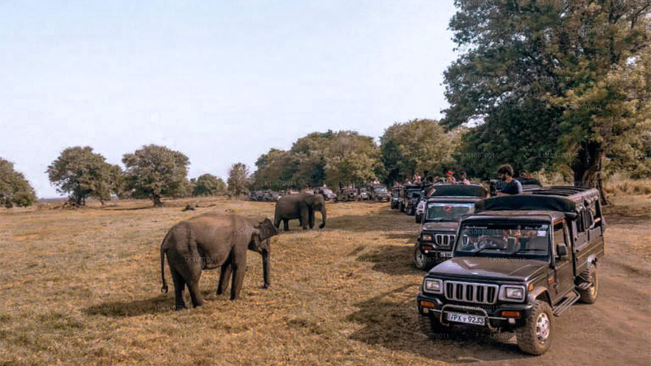 Культура и центральная страна (6 дней)