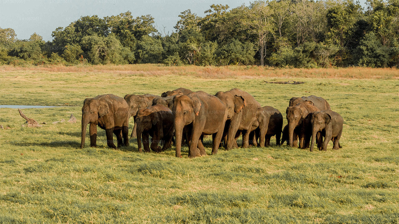 Культура и центральная страна (6 дней)
