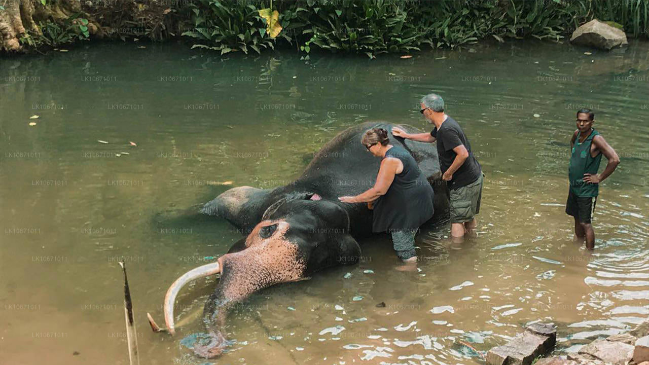 Тропа Рамаяна (6 дней)