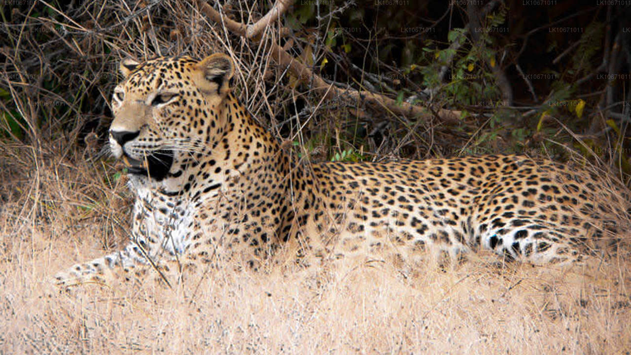 Тропа Рамаяна (6 дней)