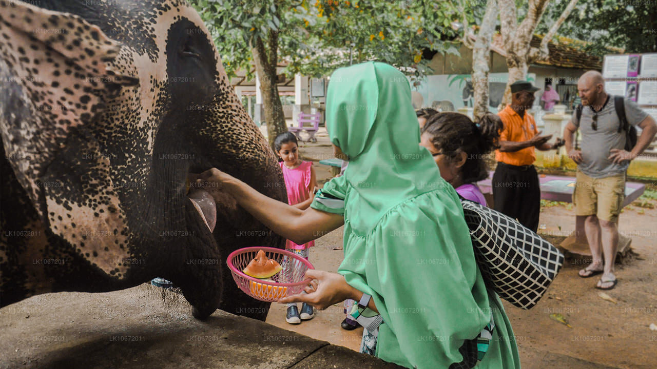Буддийский паломнический тур (6 дней)