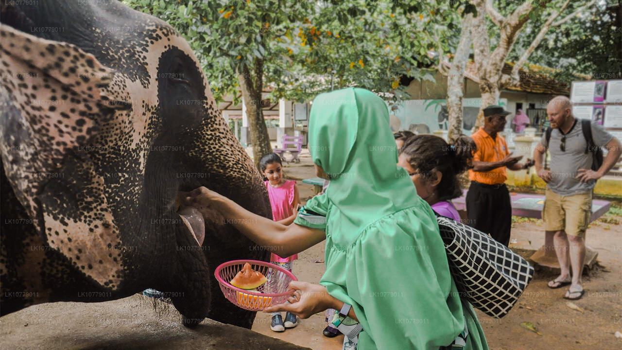 В горах (7 дней)