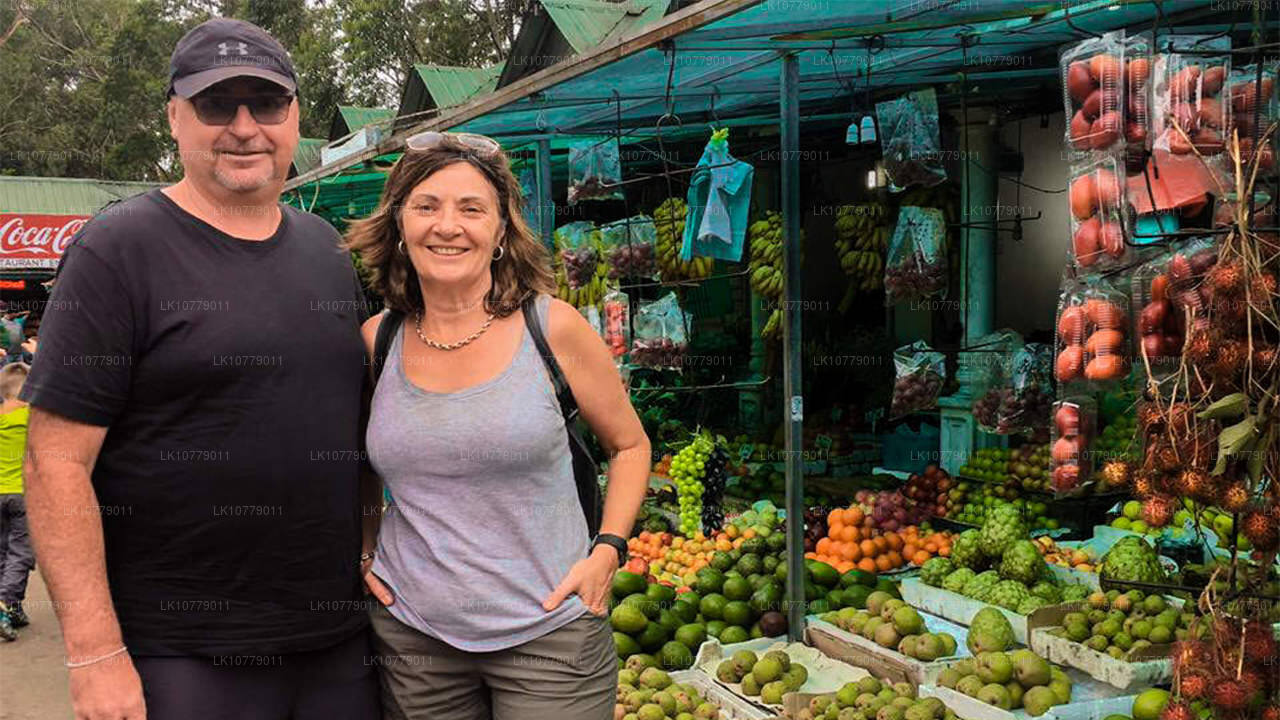 В горах (7 дней)