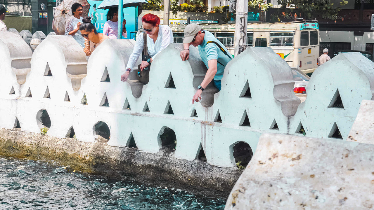 Сочетание берега и холмов (7 дней)