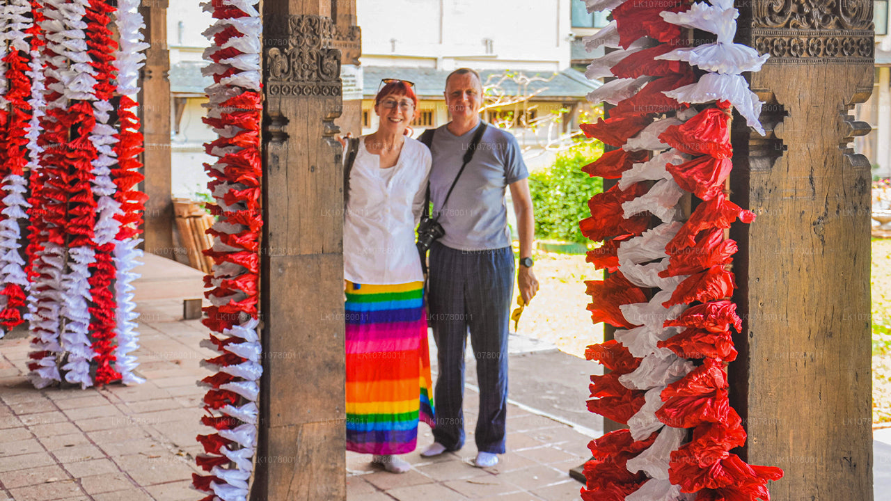 Сочетание берега и холмов (7 дней)