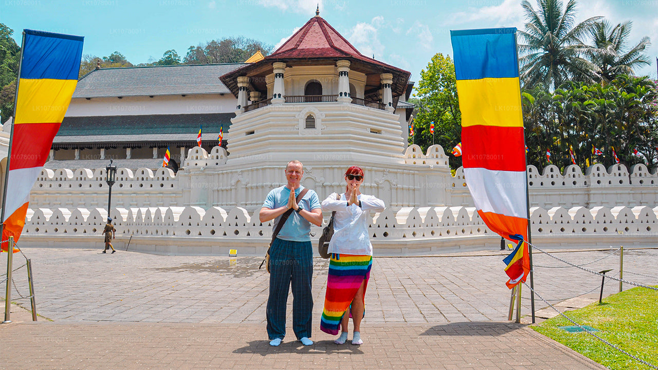 Сочетание берега и холмов (7 дней)