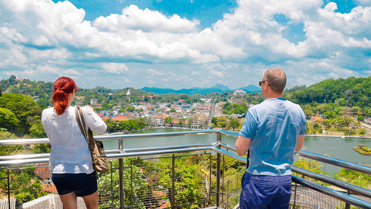 Сочетание берега и холмов (7 дней)