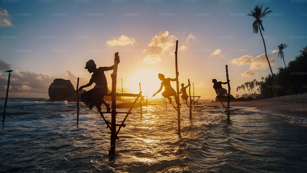 Сочетание берега и холмов (7 дней)