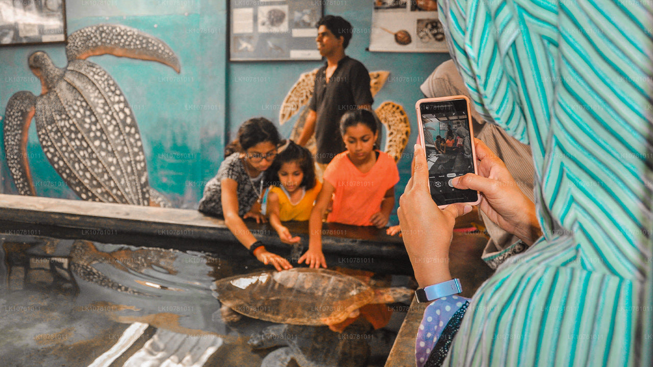 Золотое побережье Юга (7 дней)