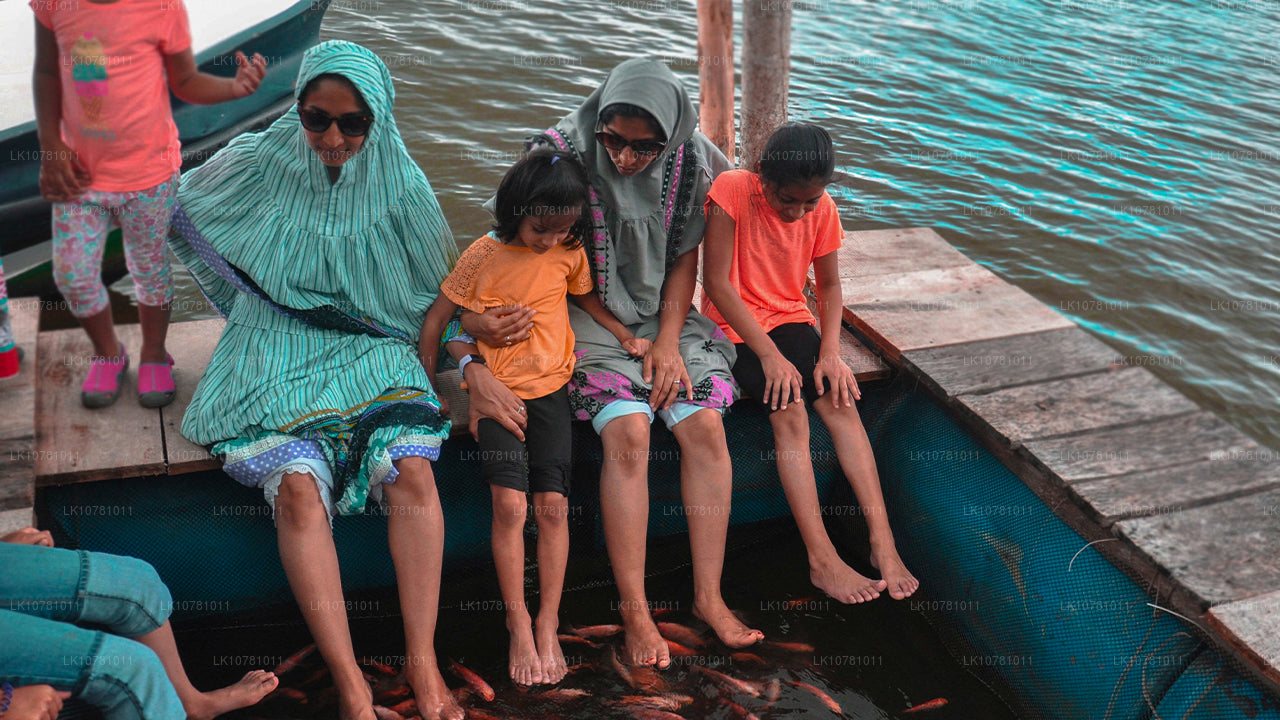 Золотое побережье Юга (7 дней)