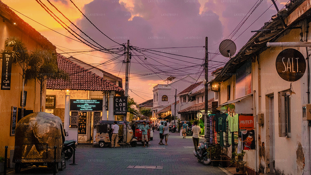 Золотое побережье Юга (7 дней)