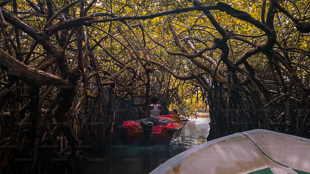 Золотое побережье Юга (7 дней)