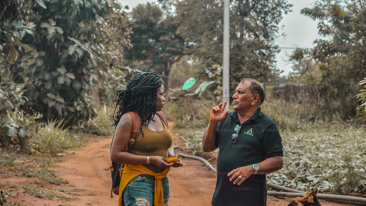 Чудеса Востока (7 дней)