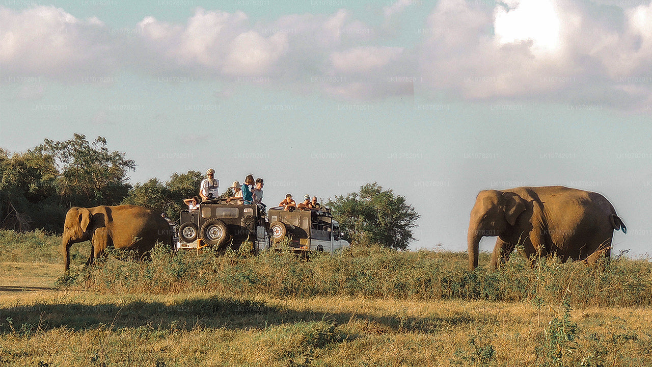 Чудеса Востока (7 дней)
