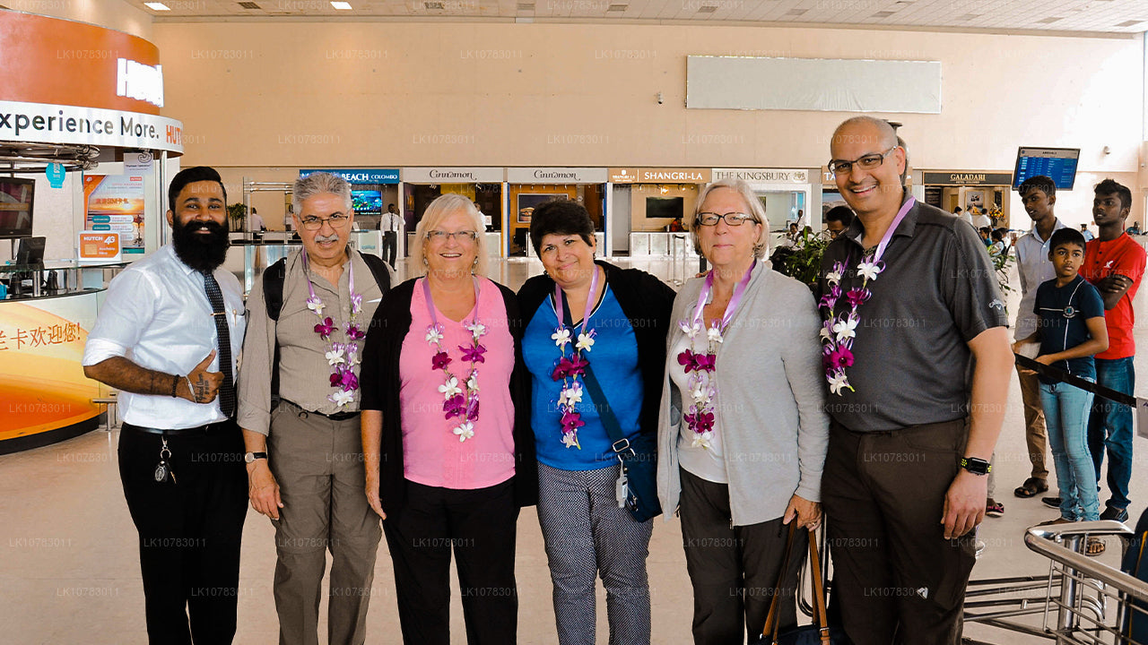 «Большая пятерка» в сезоне Южного побережья (7 дней)