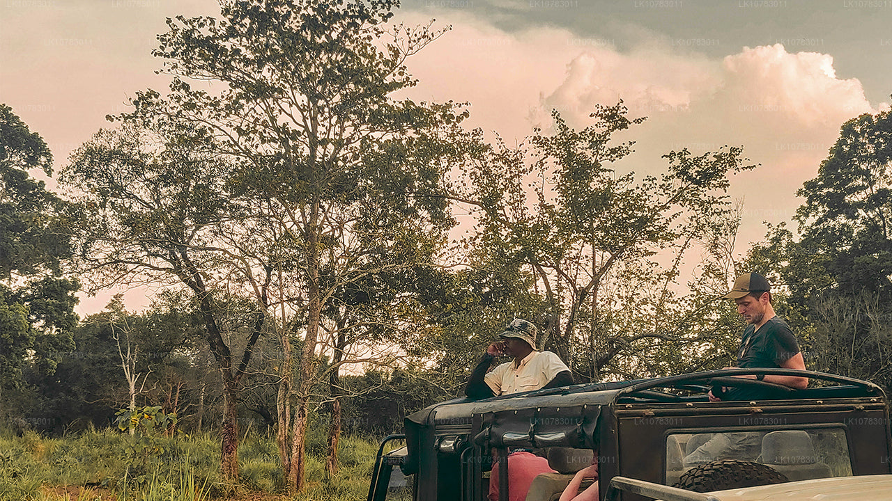 «Большая пятерка» в сезоне Южного побережья (7 дней)