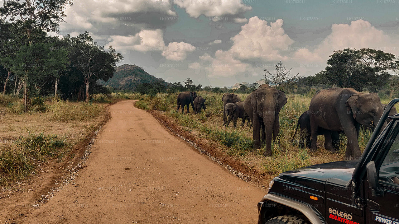 «Большая пятерка» в сезоне Южного побережья (7 дней)