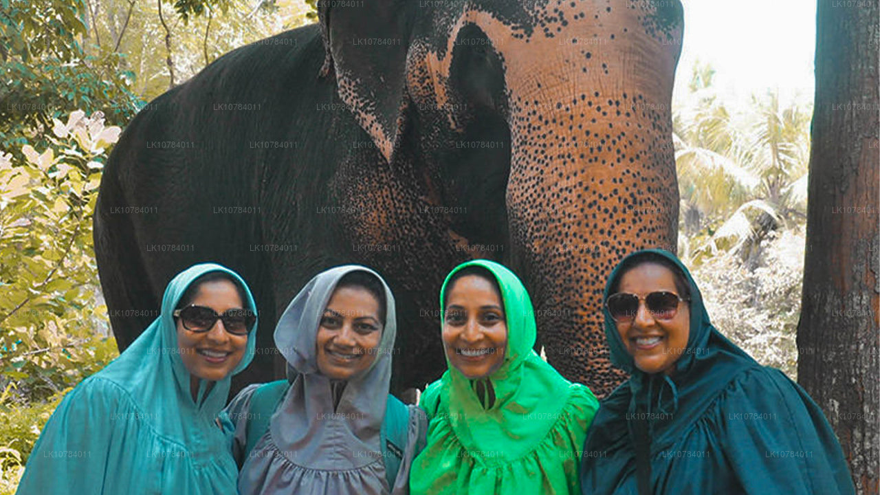 Халяльный (исламский) тур по Шри-Ланке (7 дней)