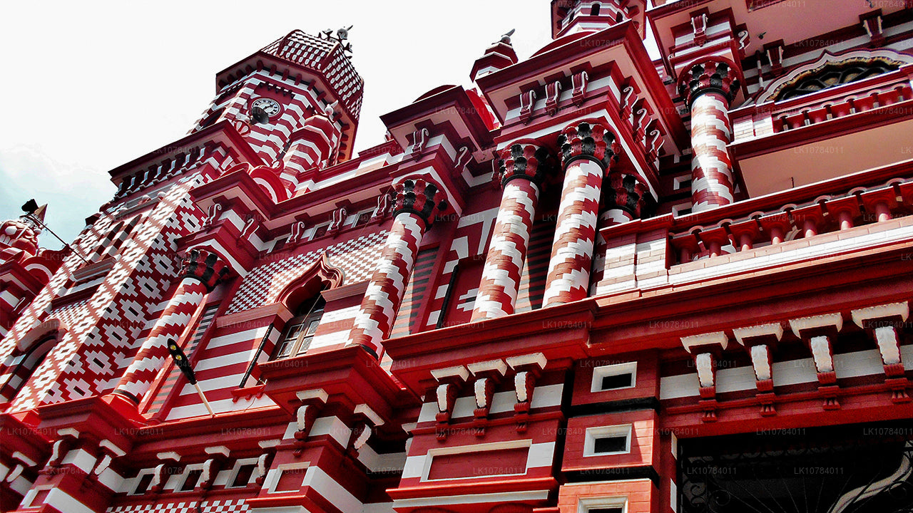 Халяльный (исламский) тур по Шри-Ланке (7 дней)