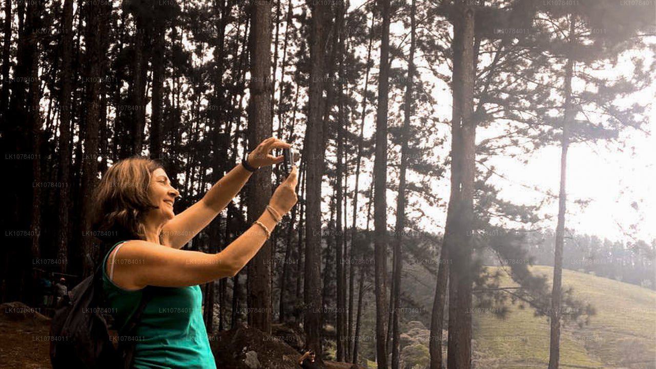 Халяльный (исламский) тур по Шри-Ланке (7 дней)