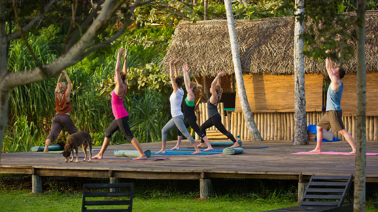 Аюрведический отдых в Ваддуве (7 дней)