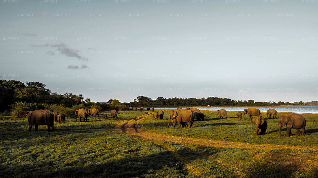 Культурная и кулинарная экспедиция (7 дней)