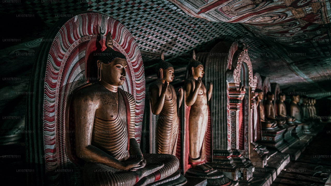 Неизведанный Цейлон (7 дней)