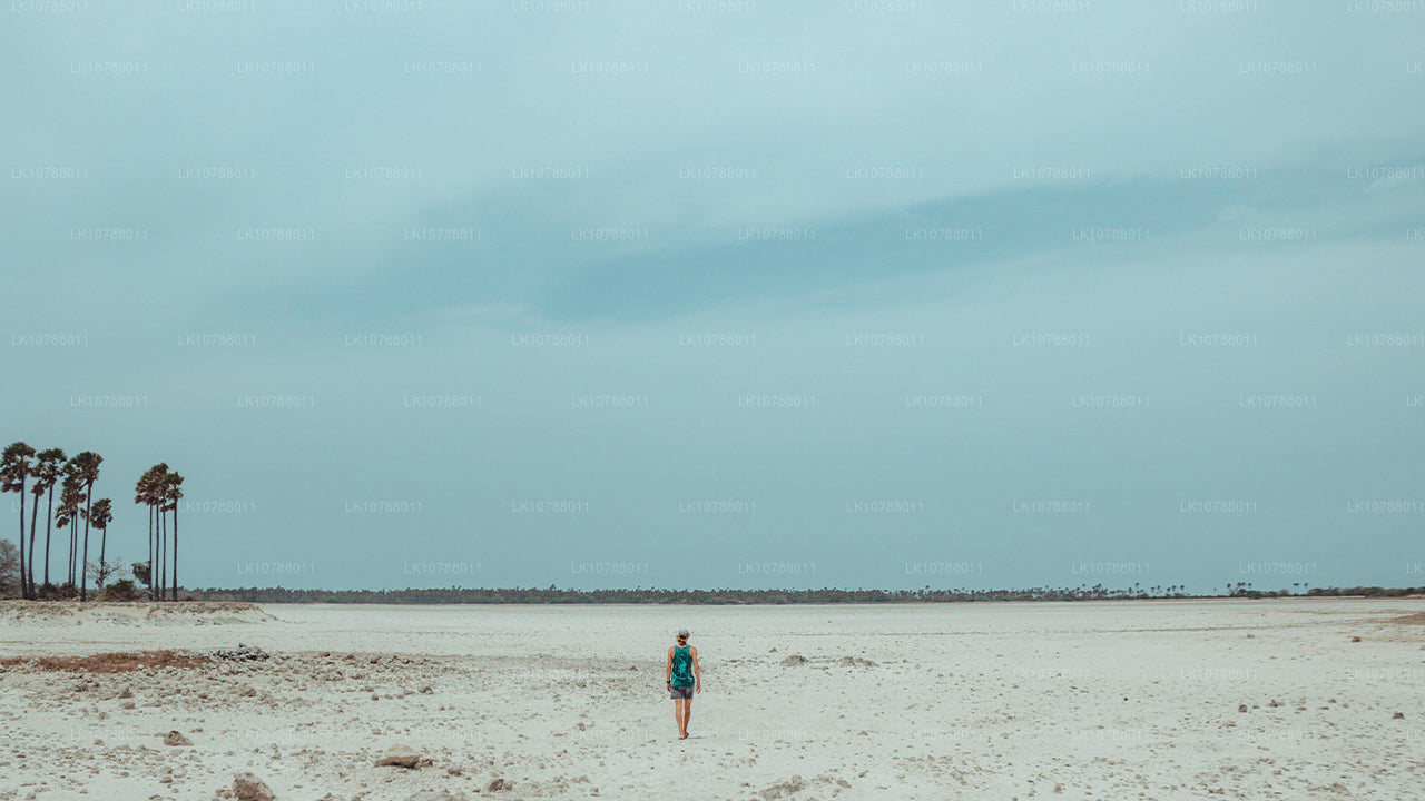 Невероятная Джафна (7 дней)