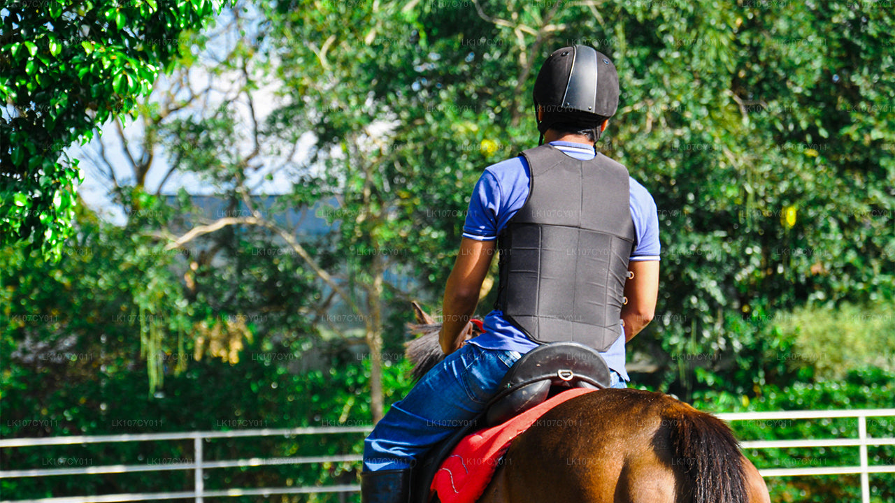 Конный тур (7 дней)