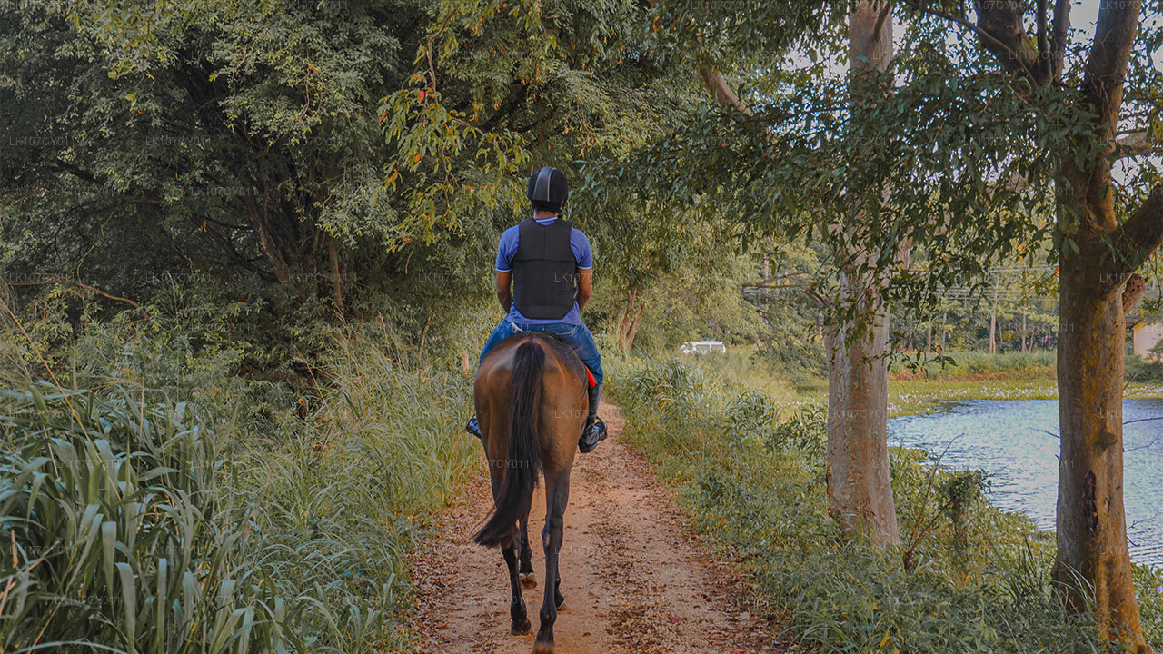 Конный тур (7 дней)