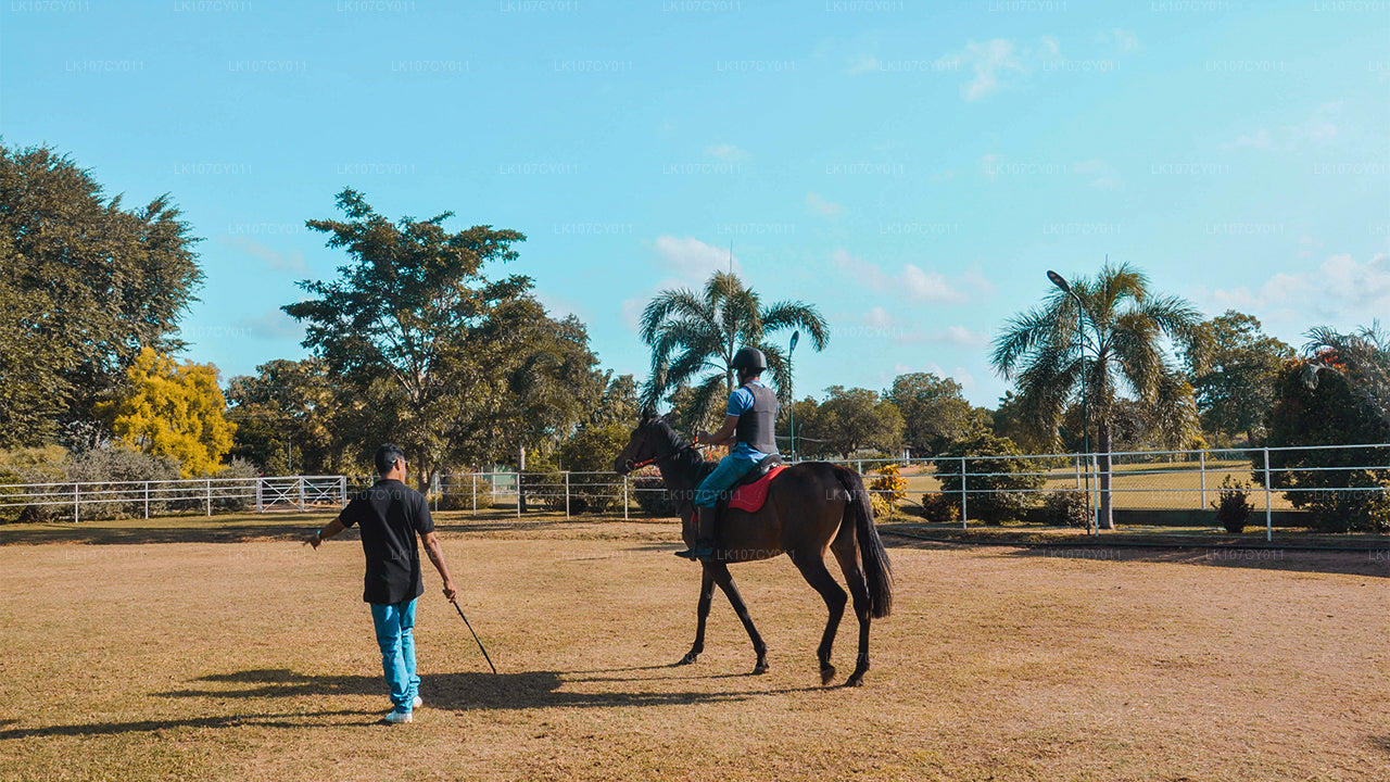 Конный тур (7 дней)