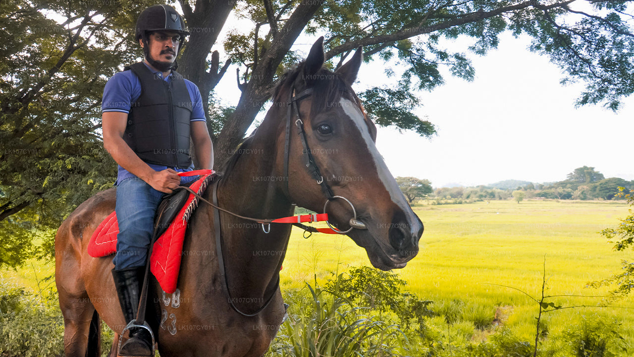 Конный тур (7 дней)