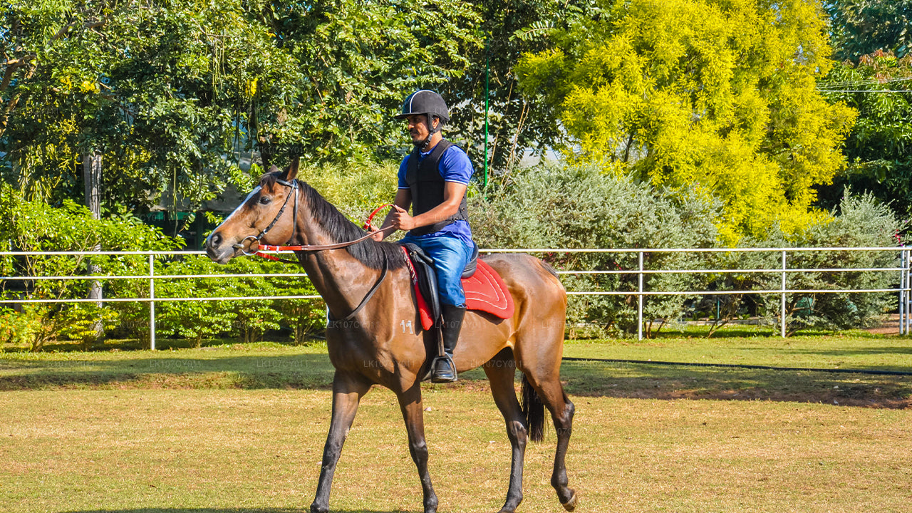 Конный тур (7 дней)