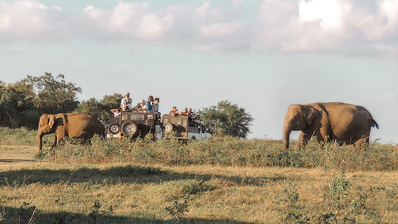 Прогулка по культурным достопримечательностям (8 дней)