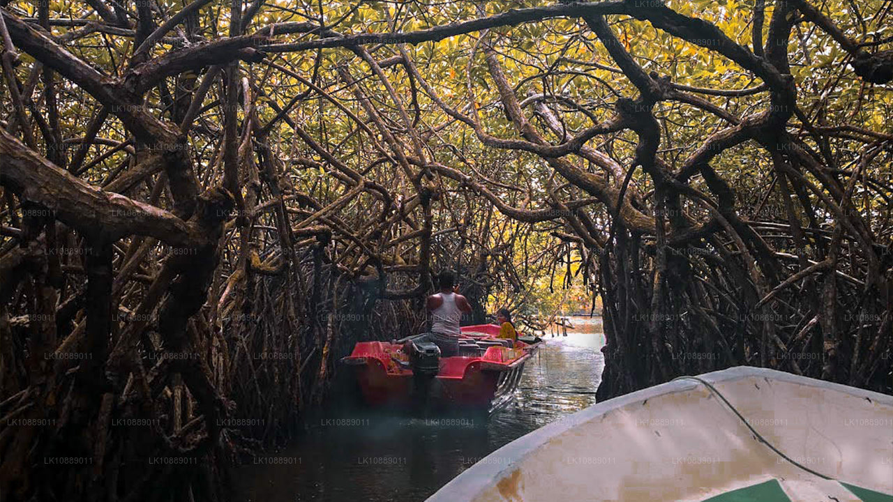 Прогулка по культурным достопримечательностям (8 дней)