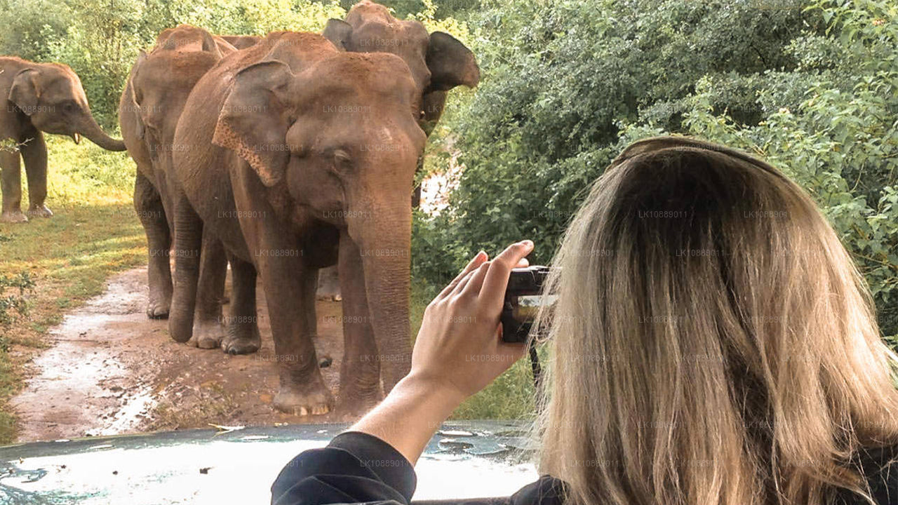 Прогулка по культурным достопримечательностям (8 дней)