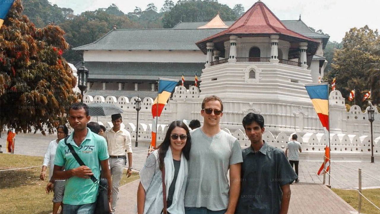 Типичный Цейлон (8 дней)