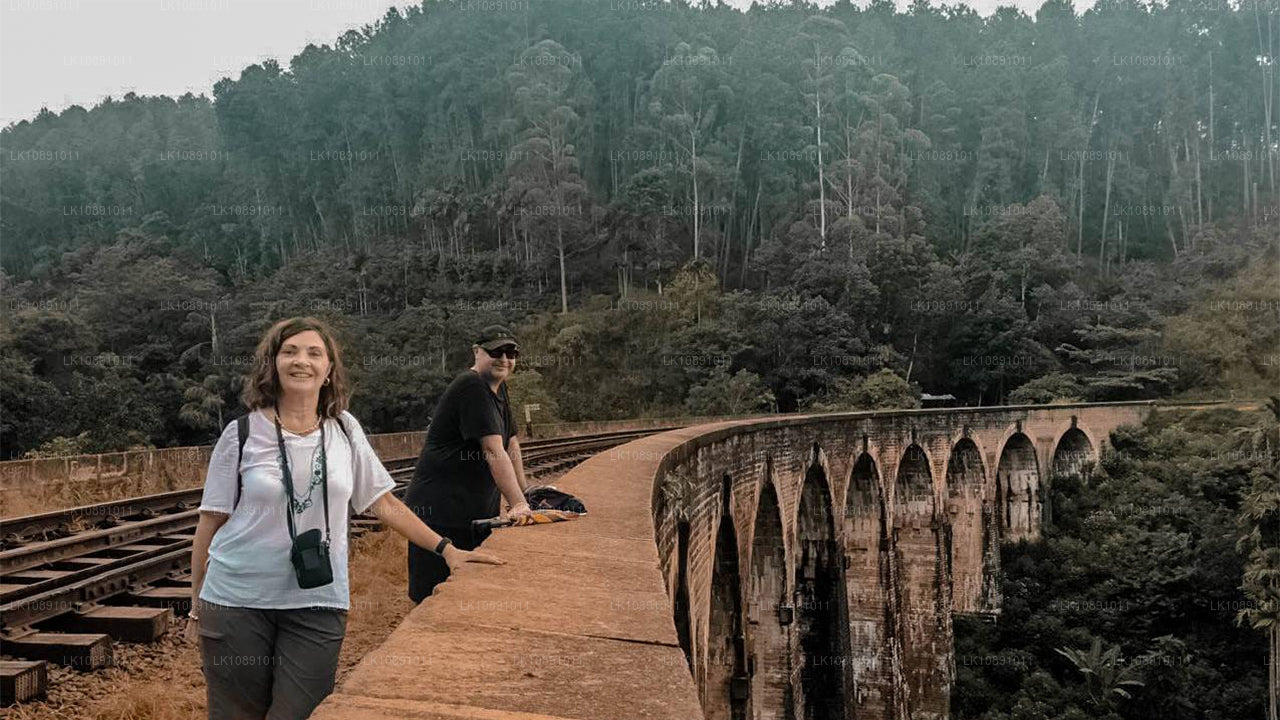 Типичный Цейлон (8 дней)