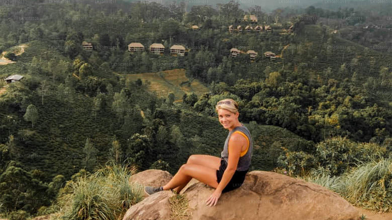 Типичный Цейлон (8 дней)