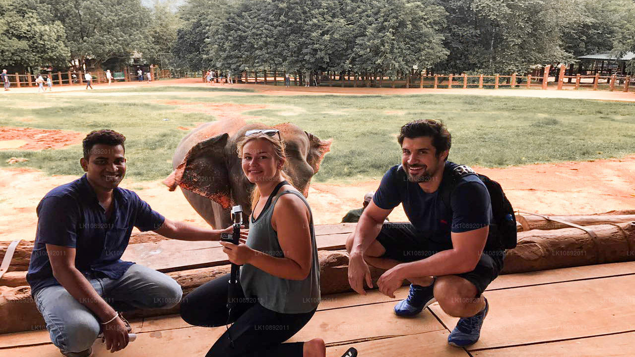 Культура, дикая природа и природа (8 дней)