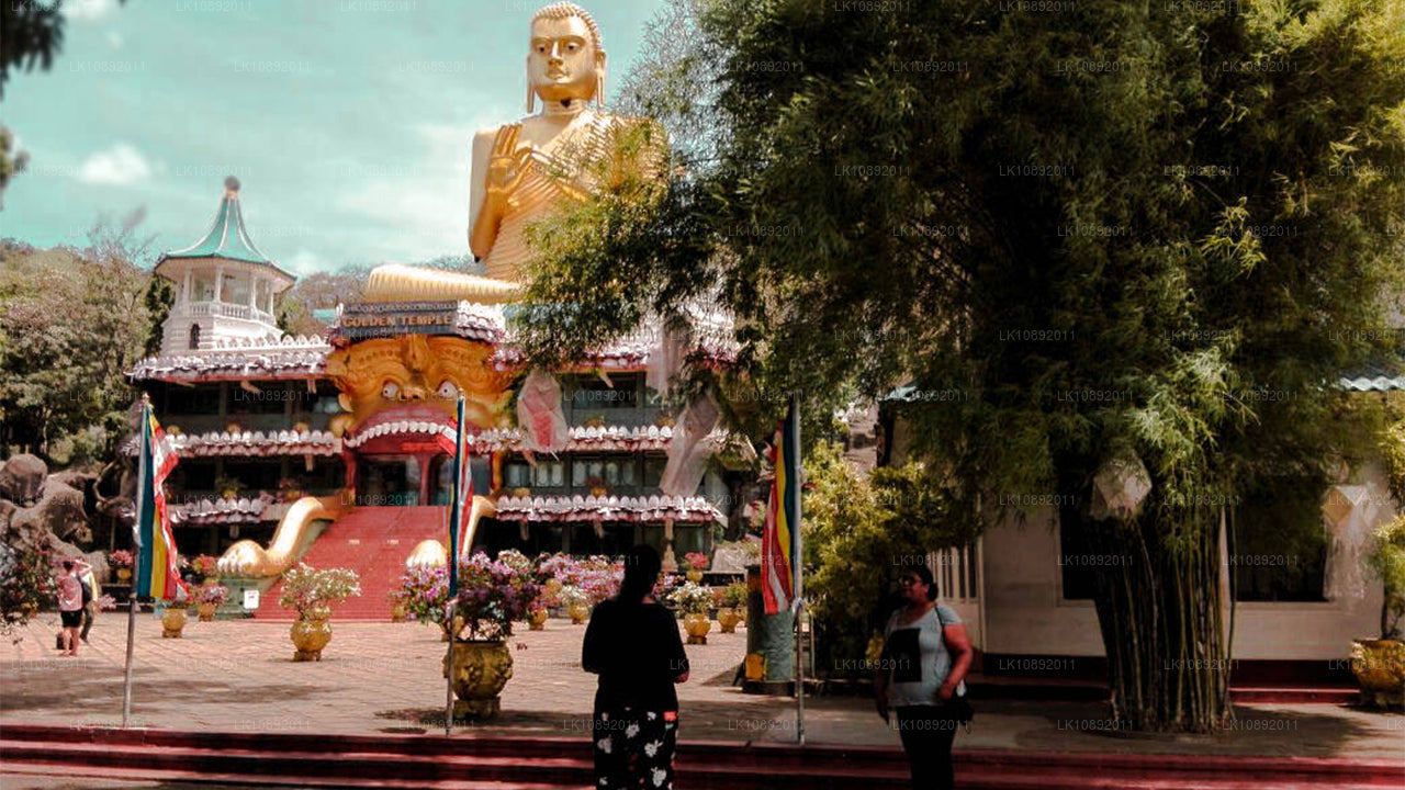 Культура, дикая природа и природа (8 дней)