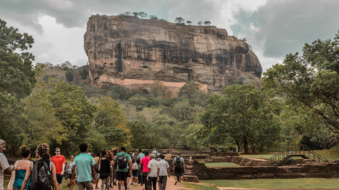 Культура, дикая природа и природа (8 дней)